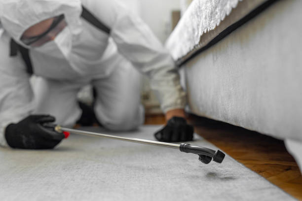 Professional Pest Control technician working in Jasper, FL