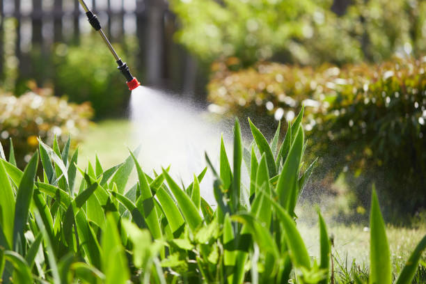 24/7 Emergency Fumigation Services experts in Jasper, FL