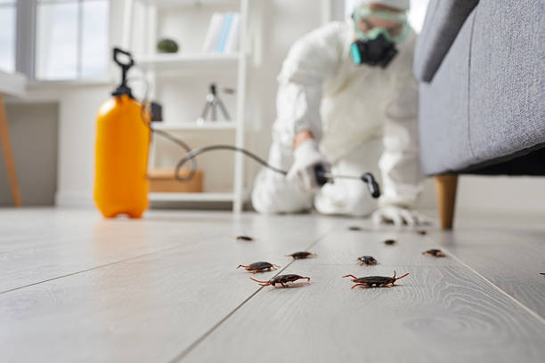 Trusted Fumigation Services service in Jasper, FL - Nex Pest Control